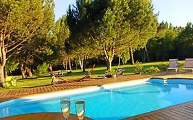 Les Pins Perdus
