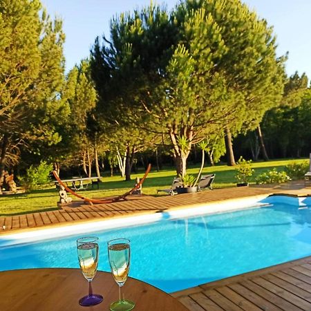 Les Pins Perdus Bed and Breakfast Saint-Ciers-d'Abzac Buitenkant foto