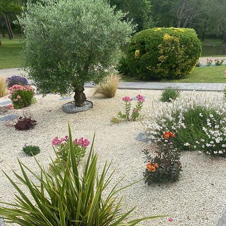 Les Pins Perdus Bed and Breakfast Saint-Ciers-d'Abzac Buitenkant foto