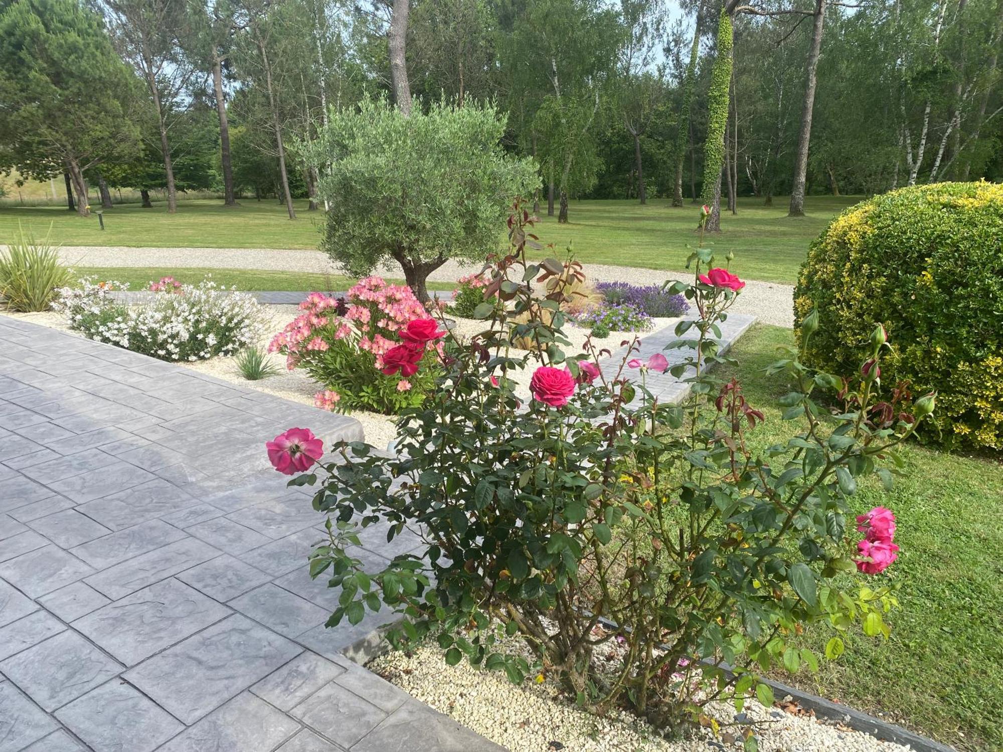 Les Pins Perdus Bed and Breakfast Saint-Ciers-d'Abzac Buitenkant foto