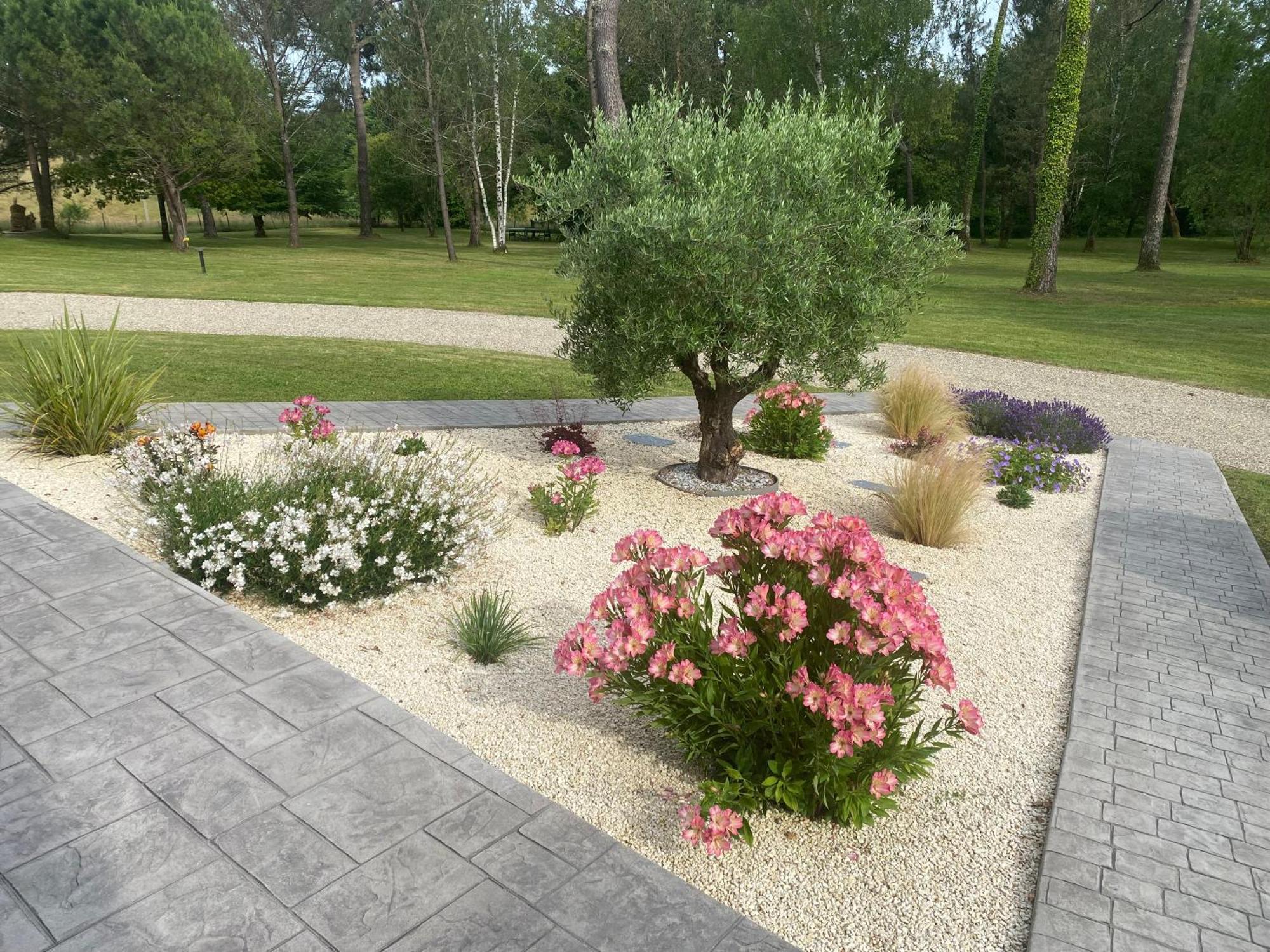 Les Pins Perdus Bed and Breakfast Saint-Ciers-d'Abzac Buitenkant foto