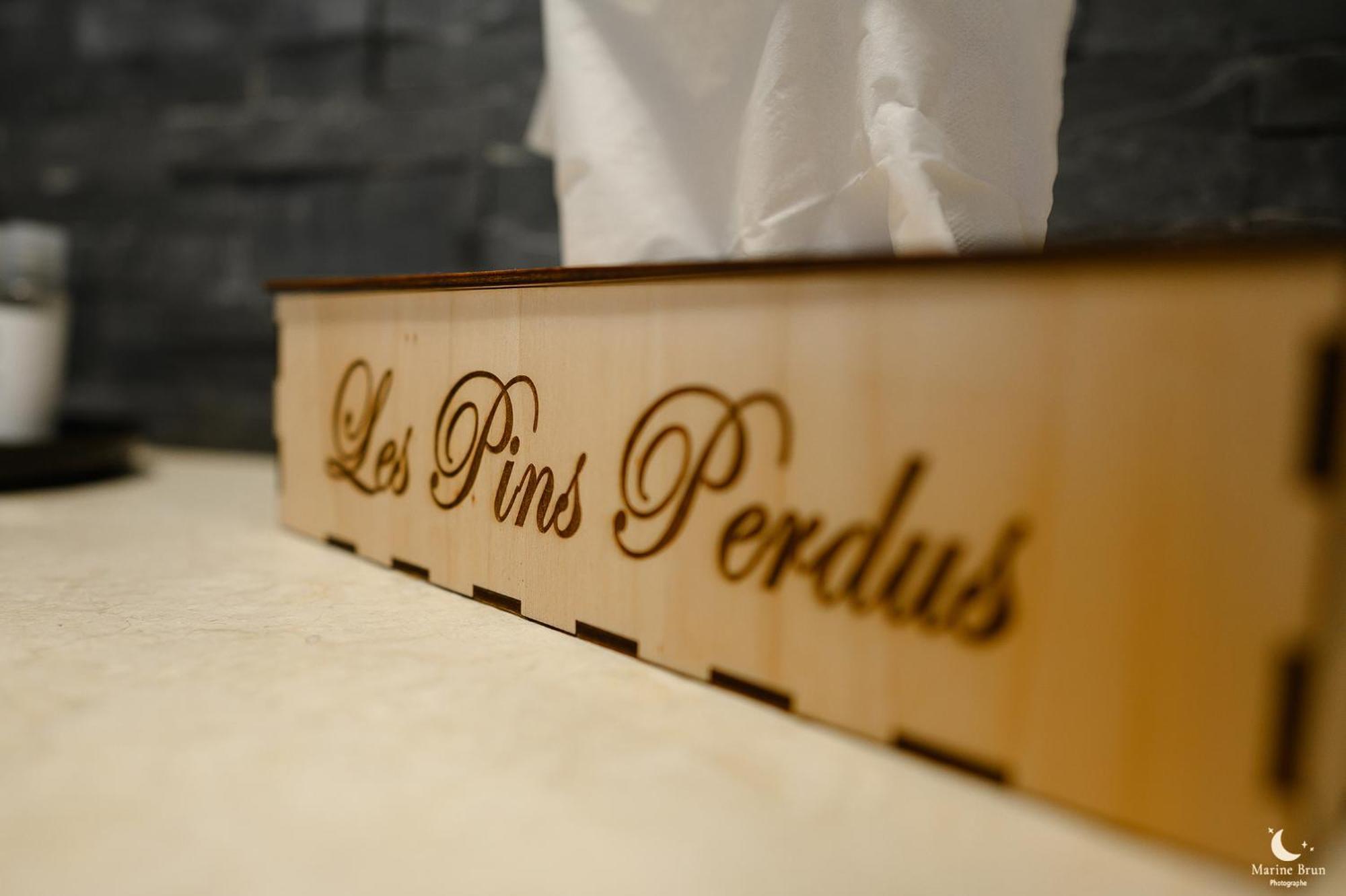 Les Pins Perdus Bed and Breakfast Saint-Ciers-d'Abzac Buitenkant foto