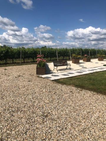 Les Pins Perdus Bed and Breakfast Saint-Ciers-d'Abzac Buitenkant foto