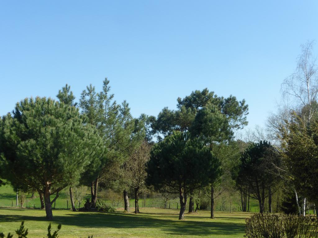 Les Pins Perdus Bed and Breakfast Saint-Ciers-d'Abzac Buitenkant foto