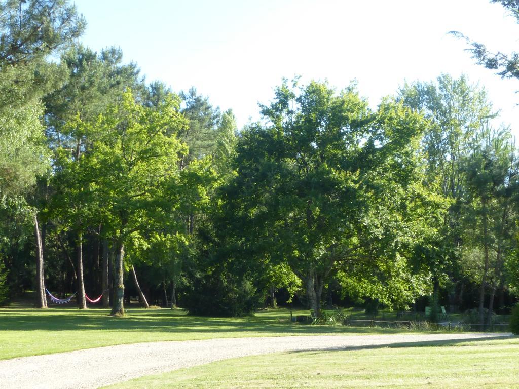 Les Pins Perdus Bed and Breakfast Saint-Ciers-d'Abzac Buitenkant foto