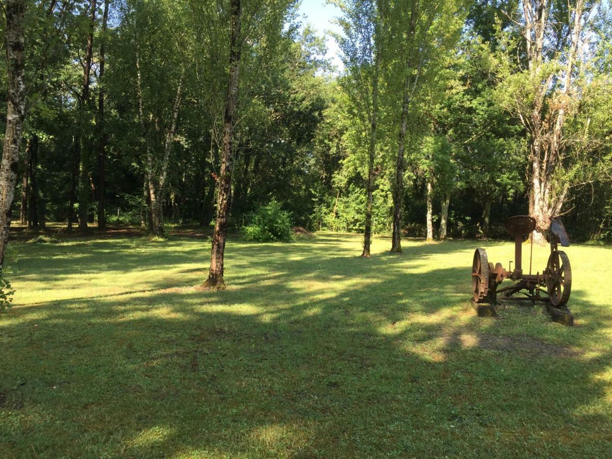 Les Pins Perdus Bed and Breakfast Saint-Ciers-d'Abzac Buitenkant foto